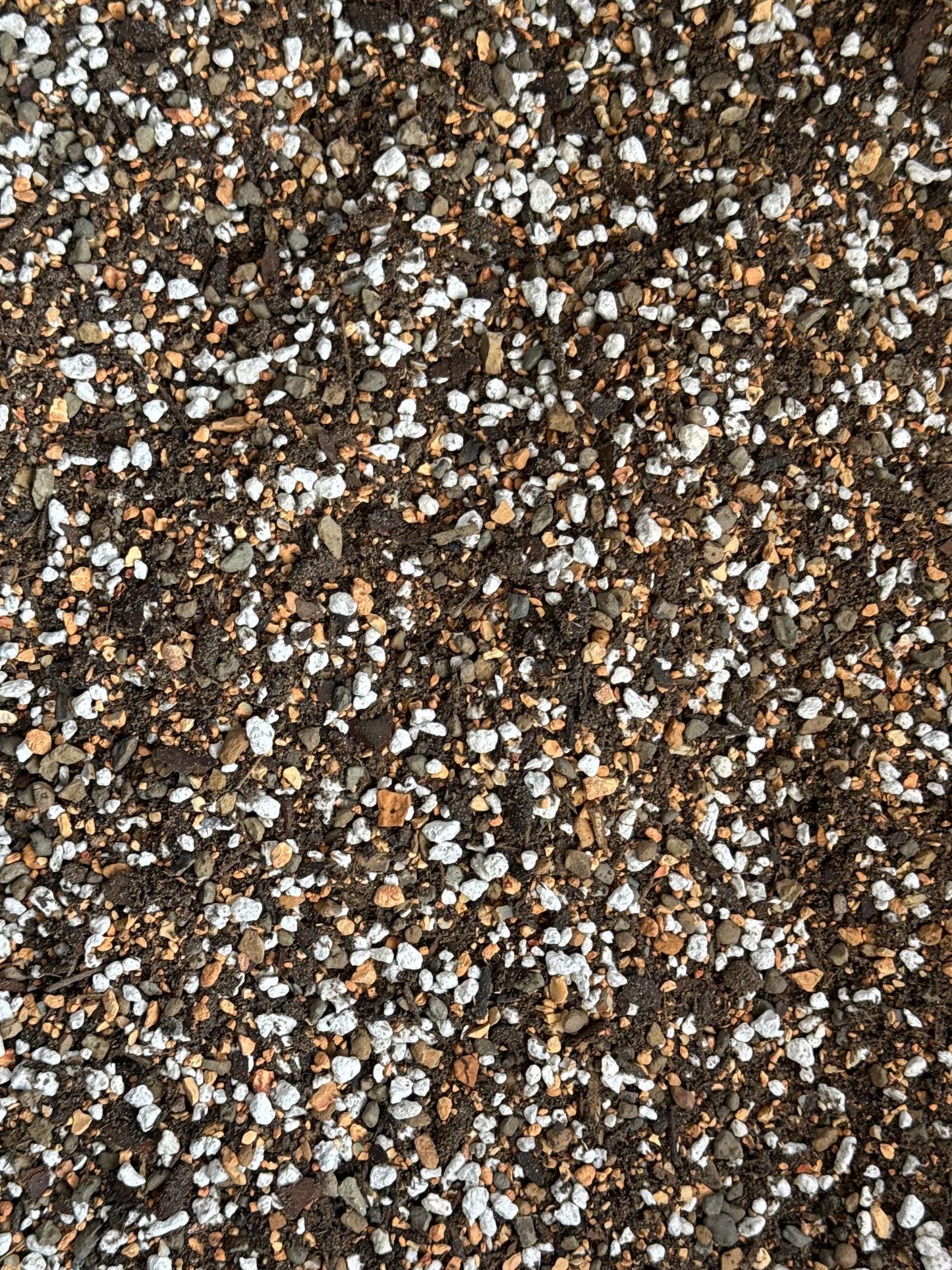 Cactus & Succulent Soil Mix