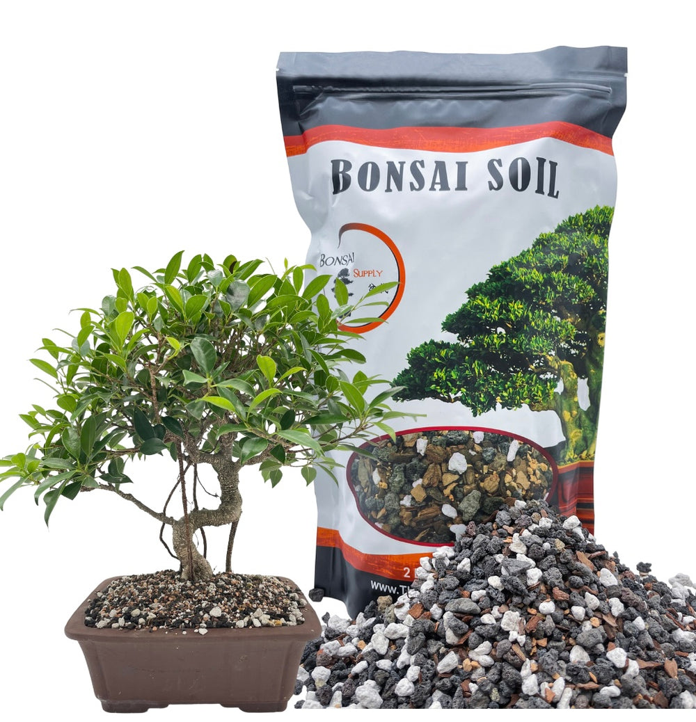 The Bonsai Supply Quality & Affordable Bonsai Supplies
