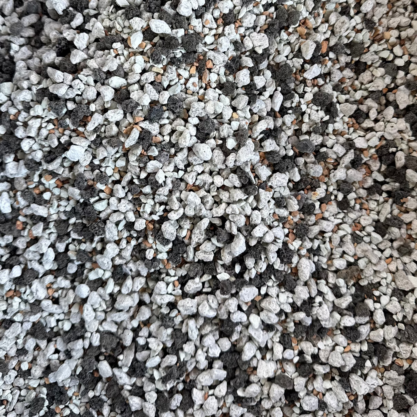 TropiPon 1/4 inch all-mineral pon style substrate for tropical plants - The Bonsai Supply