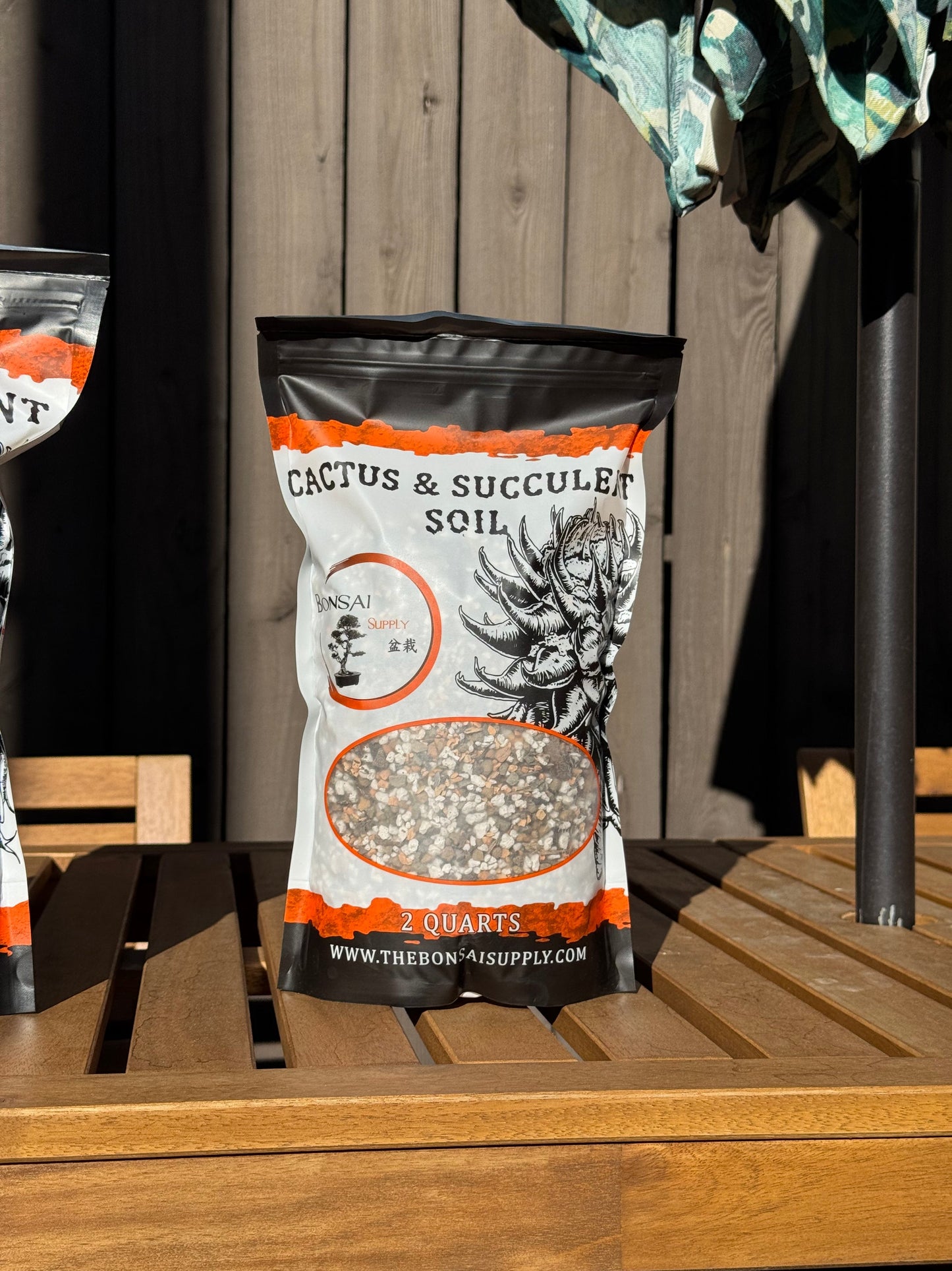 Cactus and Succulent Fine Mix with succulent planting - The Bonsai Supply