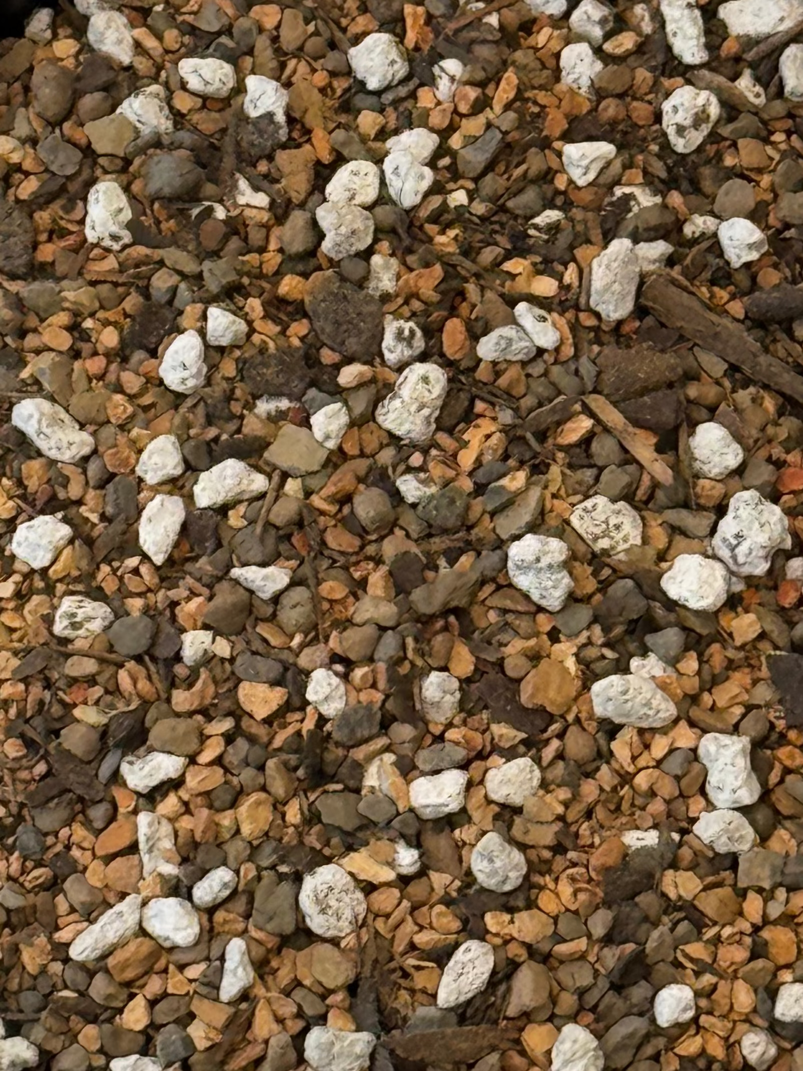 Cactus and Succulent Coarse Mix close-up showing particle size - The Bonsai Supply