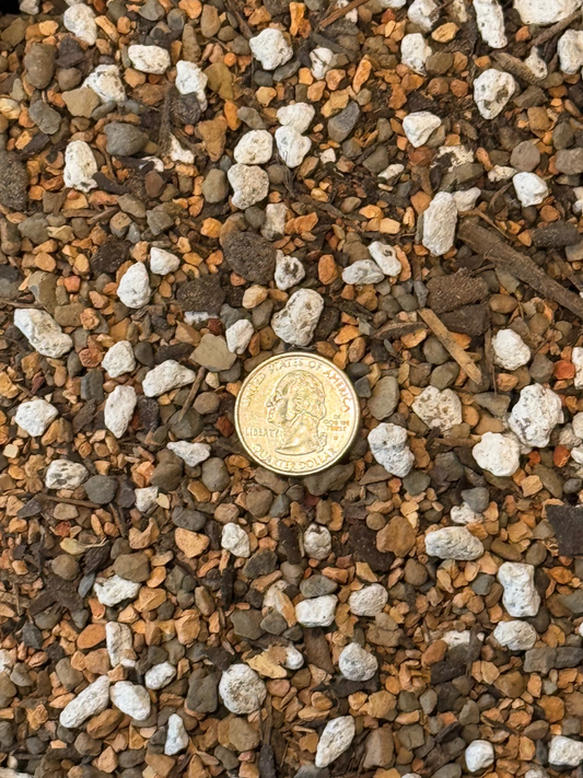 Cactus & Succulent Soil - Coarse Mix