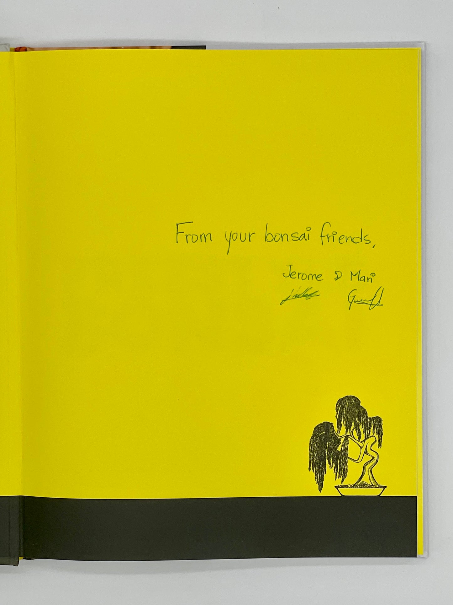 Freestyle Bonsai Book (signed copy)