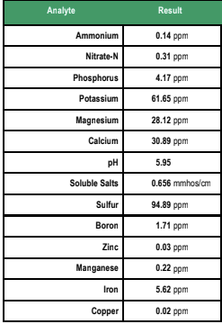 Calcined Clay